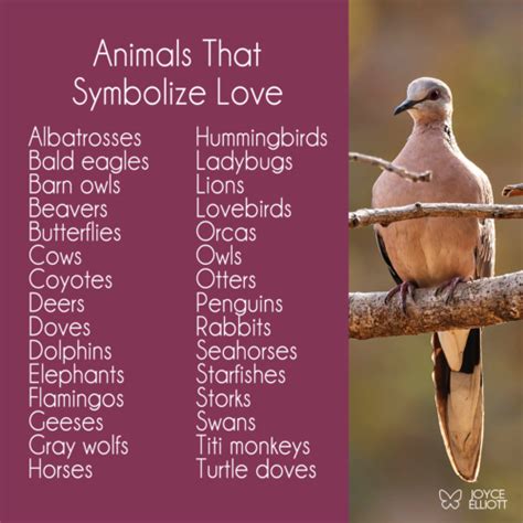 animals that represent charity|The Symbolism of Animals in Representing Loyalty.